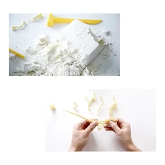 HamiltonBuhl Paleo Hunter Dig Kit for STEAM Education - Triceratops Rex image {2}