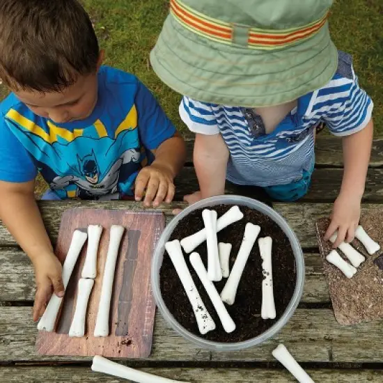 Yellow Door Dinosaur Bones Match & Measuring Set image {4}