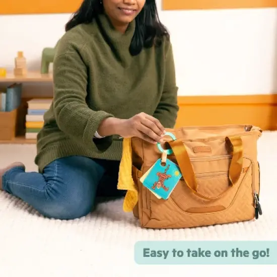 Disney Baby Winnie the Pooh Silly Ole Bundle Gift Set - 4pc image {6}