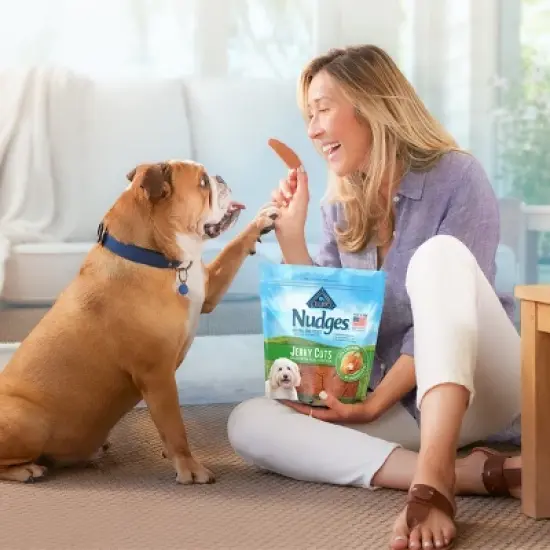 Blue Buffalo Nudges Homestyle Natural Dog Treats with Beef and Rice - 16oz image {3}