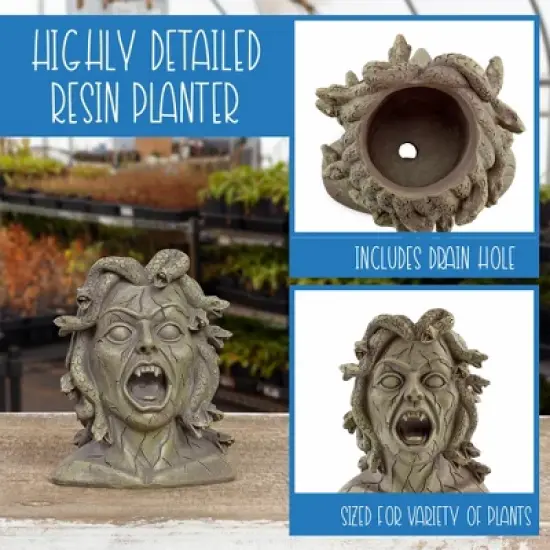 Darware Resin Medusa Head Planter, Garden Decor Statue Flower Pot image {6}