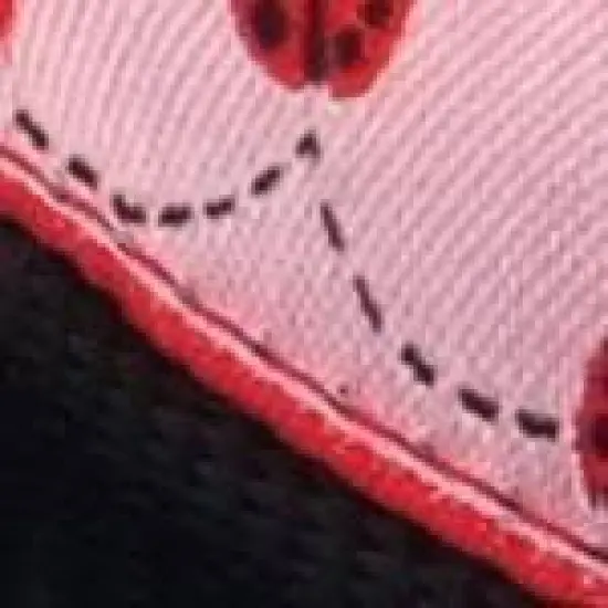 The Worthy Dog Ladybug Dog Leash image {2}