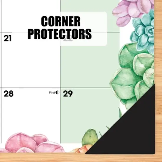 Willow Creek Press Succulents Academic July 2025 - June 2026 17"x12" Small Monthly Deskpad Calendar image {3}