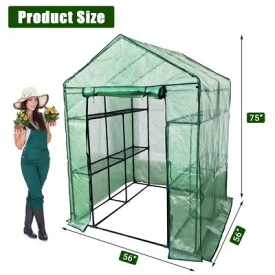 Greenhouse for Outdoors,Portable Green House w/ Roll-Up Zippered Door Anchors & Ropes,Plant Garden Hot House w/ Shelves for Garden Patio Backyard image {1}