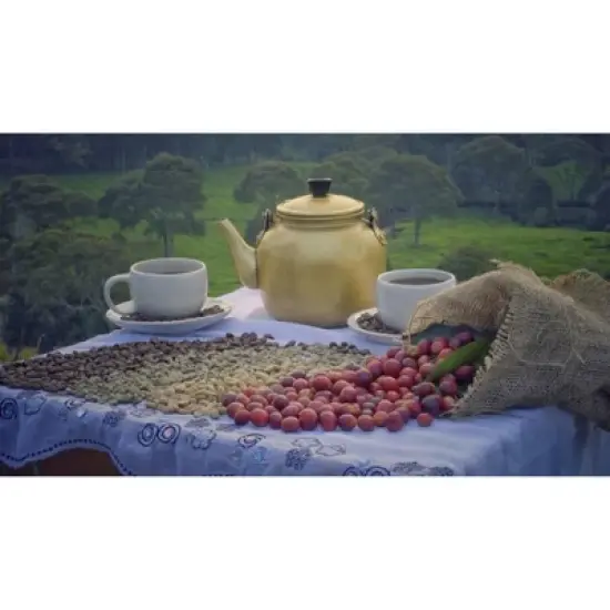 Premium Kopi Campur (Kopi Luwak) From Indonesia Wild Palm Civets Coffee Beans, Medium Roast, 250 Grams image {1}