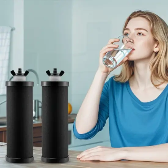 VEVOR Water Filters Replacement, Purification Elements, Activated Carbon Replacement Filters, Easy to Replace Water Filter, Pack of 2, Black image {1}