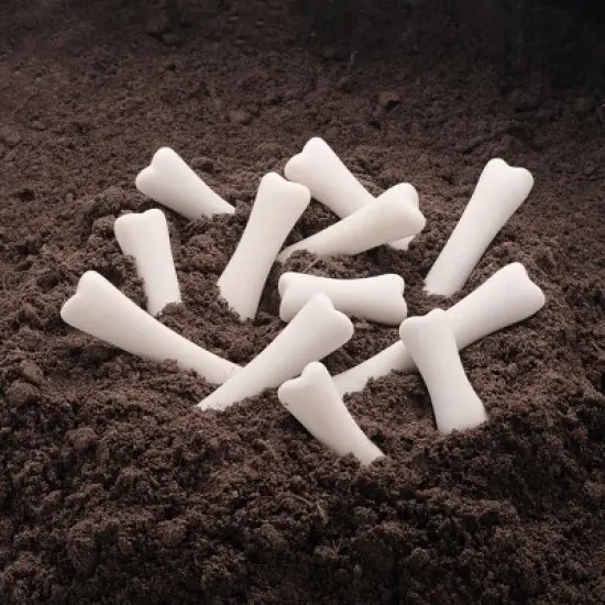 Yellow Door Dinosaur Bones Match & Measuring Set image {3}