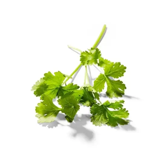 Organic Cilantro - 0.5oz - Good & Gather&trade; image {1}