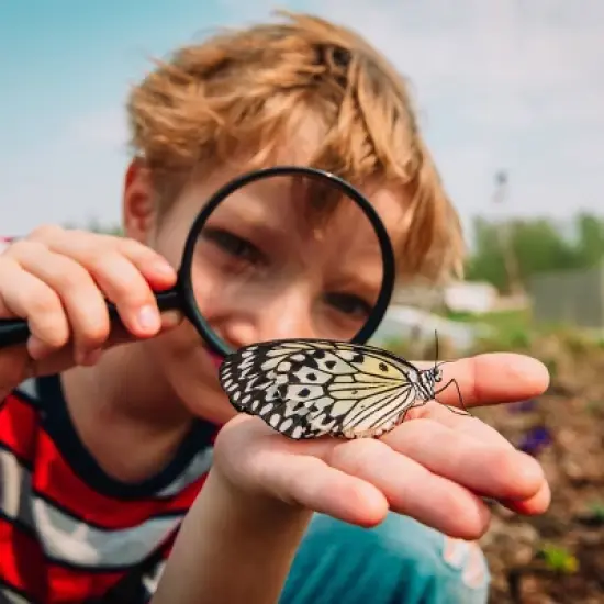 Ibuprofen Children's Chewables (NSAID) - 48ct - up&up&trade; image {4}