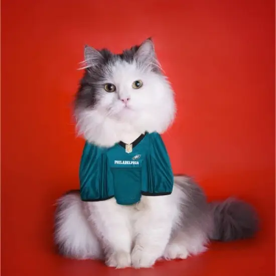 NFL Pets First Mesh Pet Football Jersey - Philadelphia Eagles image {3}