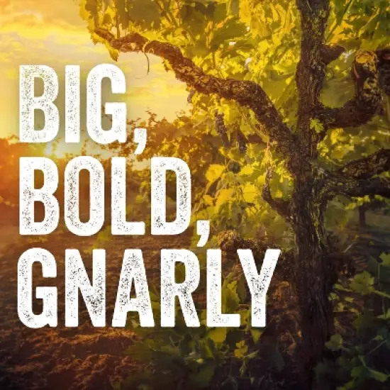 Gnarly Head Zinfandel Wine - 750ml Bottle image {4}