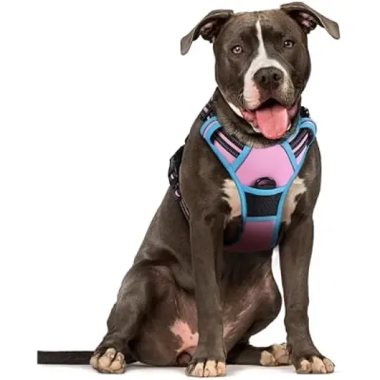 rabbitgoo Dog Harness No Pull with 2 Leash Clips, Control Handle for Large Dogs, Pink & Blue, L image {1}