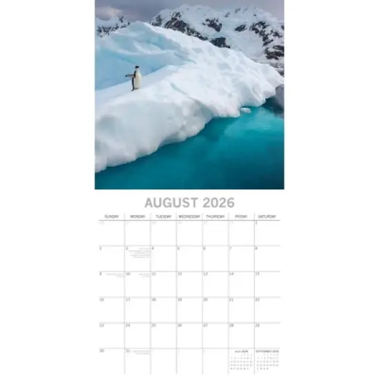 2026 Square Wall Calendar, Antarctica, 16-Month Natural World Theme, 180 Reminder Stickers (12x12 In) image {2}