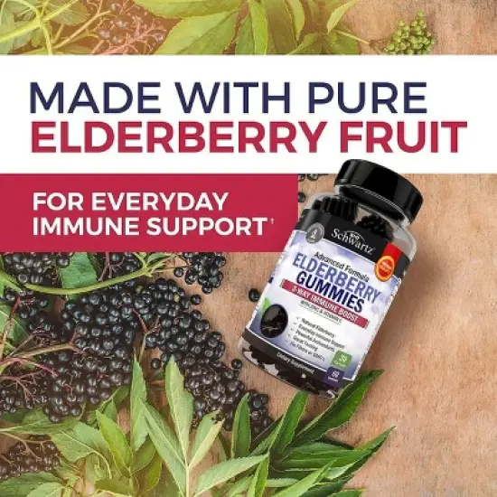 Elderberry Gummies, Bioschwartz, Berry Flavored Gummies for Immune Support, 60ct image {6}