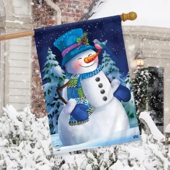 Briarwood Lane Snowfall Celebration Winter House Flag Bluebird Sn image {2}