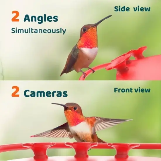 Birdfy Dual HD Camera Mounted 12" Hummingbird Feeder White: Weather-Resistant, UV-Protected, Easy to Assemble image {2}