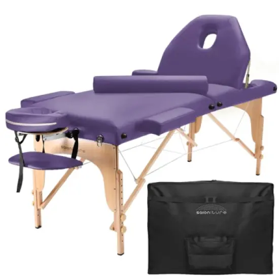 Saloniture Professional Portable Massage Table with Backrest image {13}
