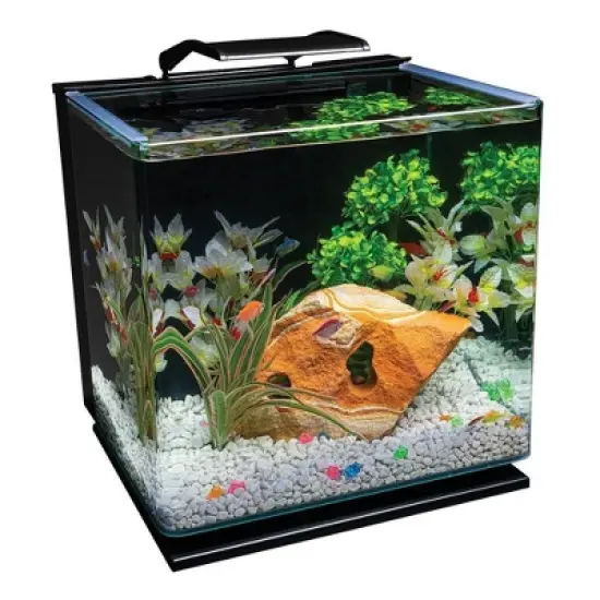 GloFish Glass Aquarium Kit 10gal Includes LED Decor and Filter Aquarium and Terrarium Tools image {14}
