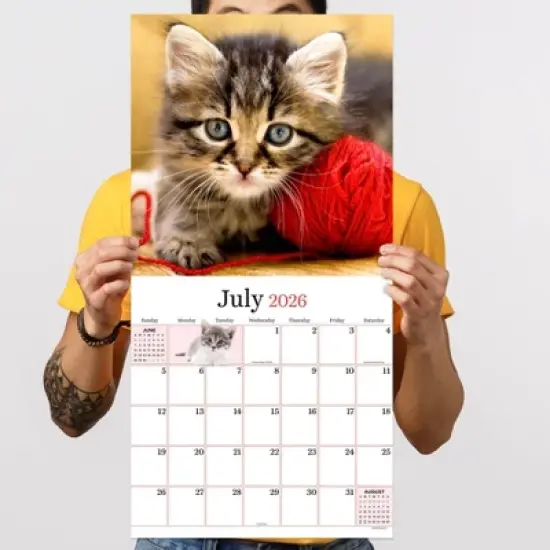 TF Publishing 13.5"x14.5" 2026 Kittens Wall Calendar image {3}