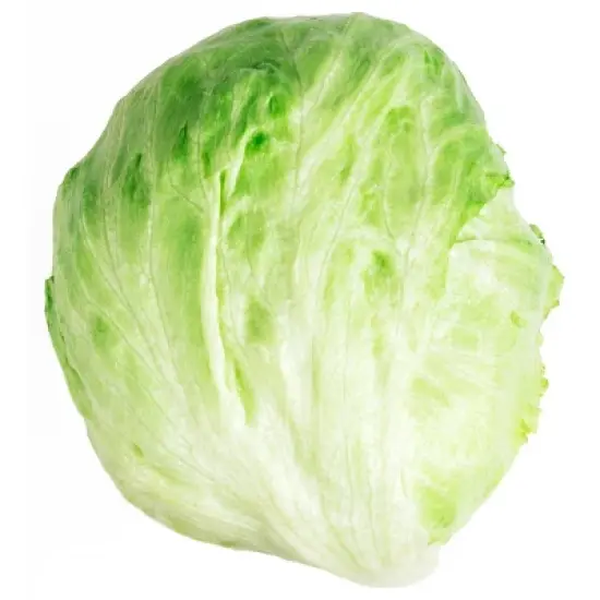 Fresh Iceberg Lettuce Head - each image {1}