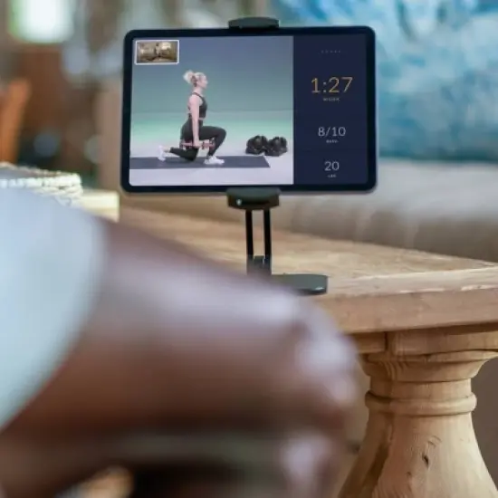 Bowflex SelectTech 552 Dumbbell Set - Black image {12}