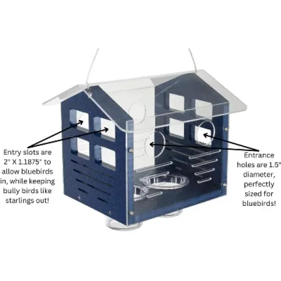 JCS Wildlife Enclosed Bluebird Feeder 2.0 image {2}