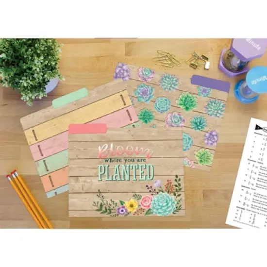 Teacher Created Resources&reg; Rustic Bloom File Folders, 2 Packs image {3}