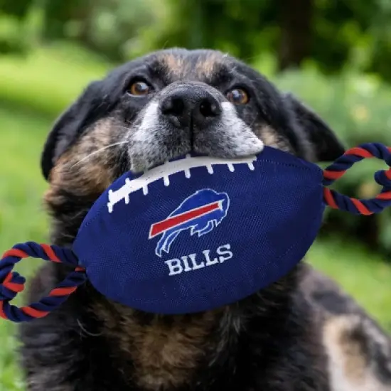 NFL Buffalo Bills Nylon Football image {1}