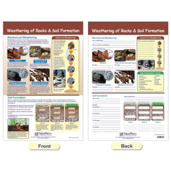 NewPath Learning Earth's Surface Bulletin Board Chart, Set of 3 image {4}