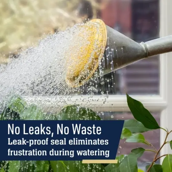 Kings County Tools Galvanized 2 Gal Watering Can image {3}