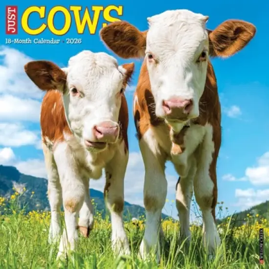 Willow Creek Press 2026 Cows Wall Calendar image {5}
