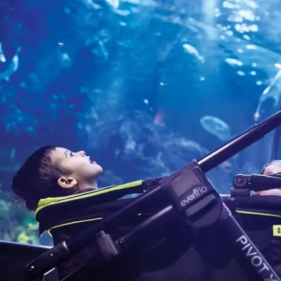 Evenflo Pivot Xplore All-Terrain Double Stroller Wagon image {18}