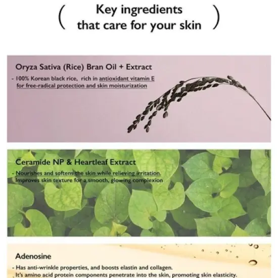 Haruharu Wonder Black Rice Moisture AiryFit Daily Sunscreen Unscented SPF 50 PA++++ (1.69 oz) Very High Sun Protection | Non-Greasy | Velvet Finish image {4}