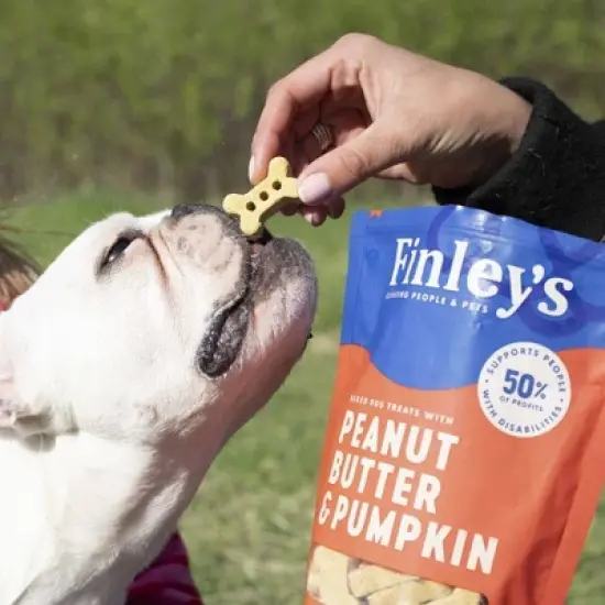 Finley's All Natural Peanut Butter & Pumpkin Flavor Dog Treat Crunchy Biscuits image {5}