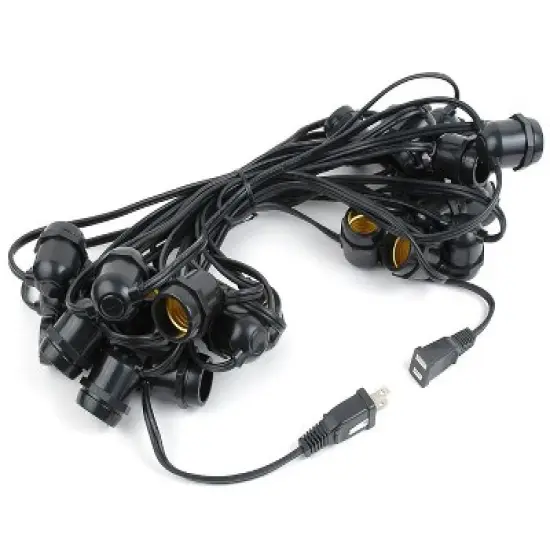 Novelty Lights Edison Outdoor String Lights with 25 In-Line Sockets Black Wire 37.5 Feet image {2}