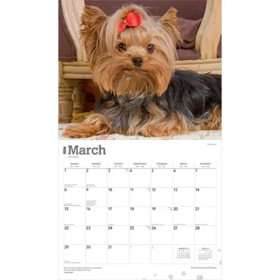 BrownTrout For the Love of Yorkshire Terriers 2026 14"x24" Hanging Deluxe Wall Calendar Plastic-Free image {2}