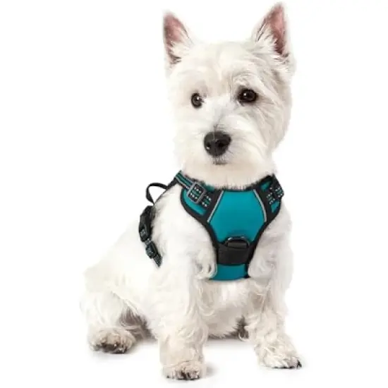 rabbitgoo Dog Harness No Pull with 2 Leash Clips, Control Handle for Puppy, Teal, XS image {1}