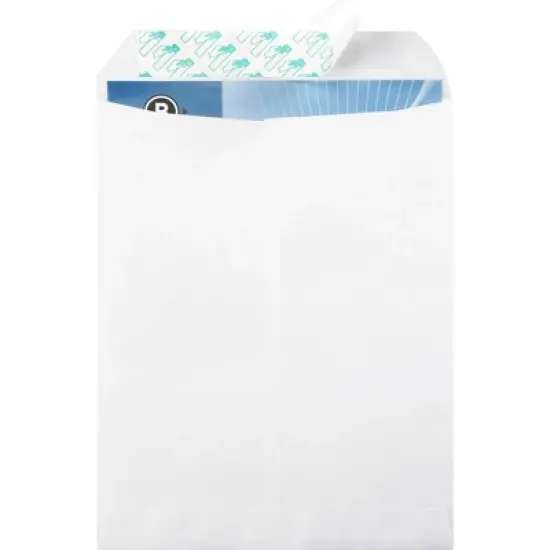 Business Source Self Sealing Catalog Envelope image {2}