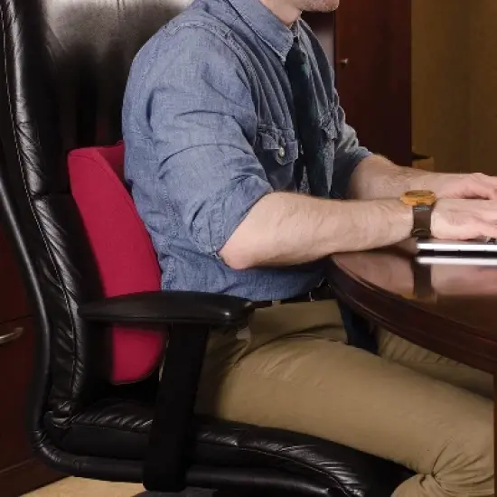 DMI Lumbar Support Pillow for Chair to Assist with Back Support with Removable Washable Cover and Firm Insert to Ease Lower Back Pain while Improving image {1}