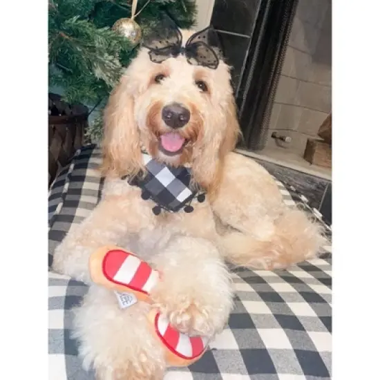 Midlee Christmas Sugar Cookie Plush Dog Toy- Candy Cane image {5}