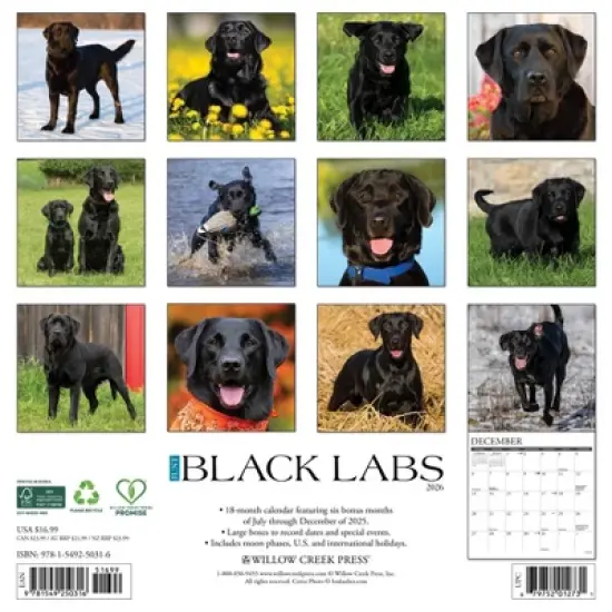 Willow Creek Press 2026 Black Labs Wall Calendar image {1}