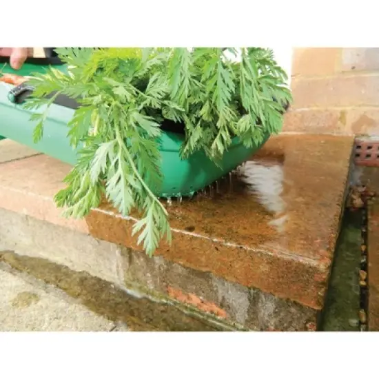 Tierra Garden Green Colander Trug image {3}