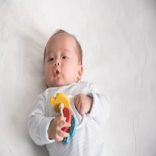 Plantoys| Baby Key Rattle image {6}