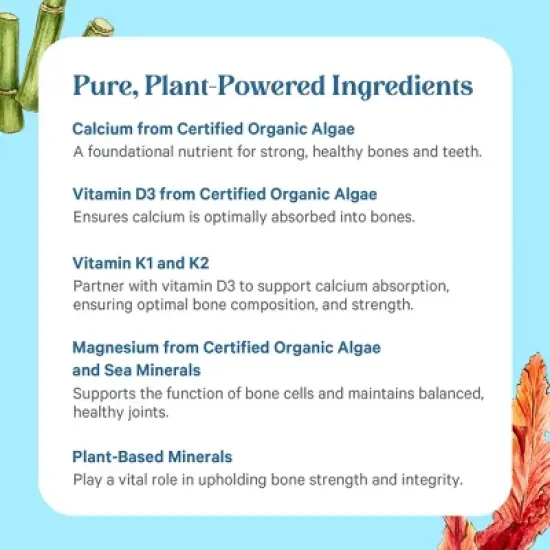 Pure Synergy Bone Renewal&reg; &ndash; Plant-Based Calcium, D3 & Minerals for Bone Strength & Mobility | 150 Capsules image {4}