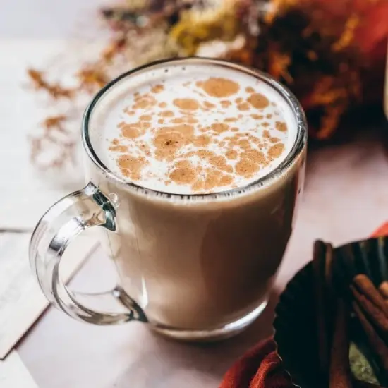Torani Pumpkin Spice Syrup - 1500ml/4ct image {4}
