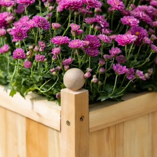 Outsunny Raised Garden Bed with Trellis Board Back & Strong Wooden Design & Materials image {5}