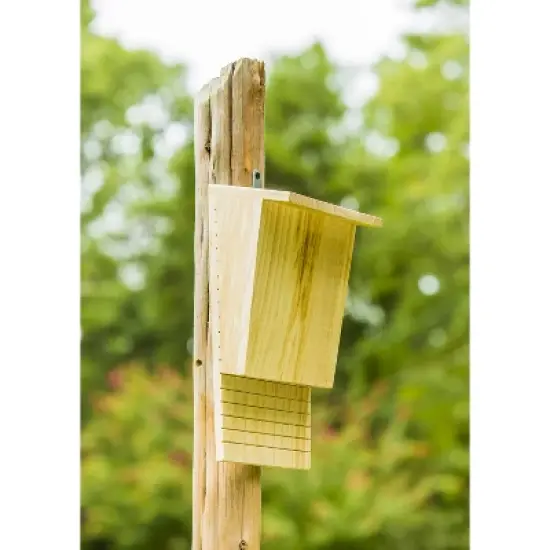 Evergreen Natural Wooden Bat House image {7}