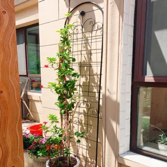 Lirago 2 Pack Metal Garden Trellis Rustproof Climbing Plant Support for Outdoor Flowers Vines Vegetables Black Powder Coated 86.7"H x 19.7"W x 1"D image {2}