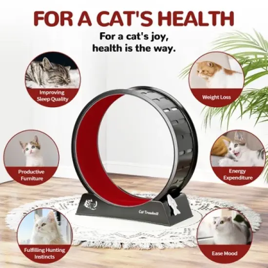 Sandinrayli Cat Treadmill Wheels for Indoor Cats, Black image {4}
