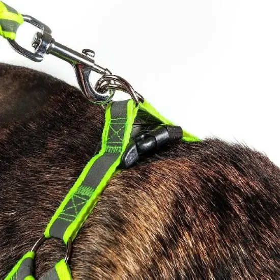 Pet Life  Reflective Stitched Easy Tension Adjustable 2-in-1 Dog Leash and Harness image {2}